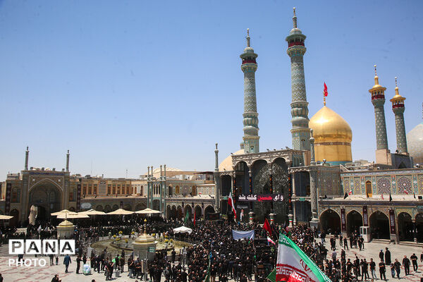 عرض تسلیت هیات های عزاداری به آستان مقدس حضرت معصومه(س) در روز عاشورا