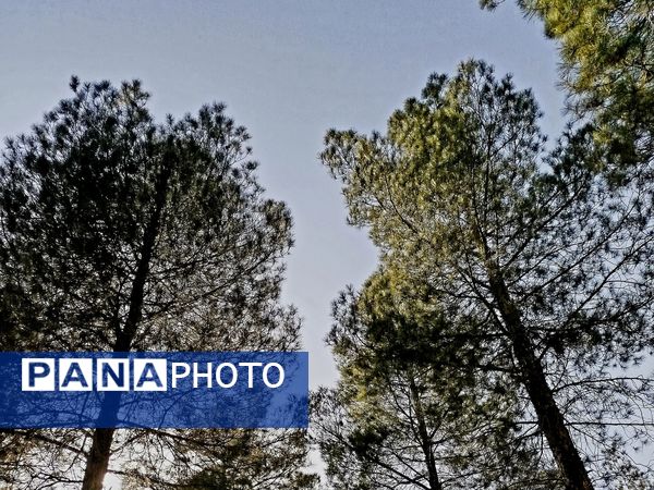 زیبایی های طبیعی شهرستان پاوه به روایت تصویر