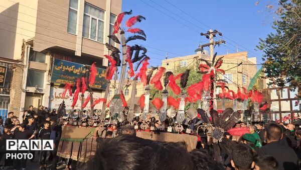 نخل برداری و علم گردانی در روز عاشورا - یزد