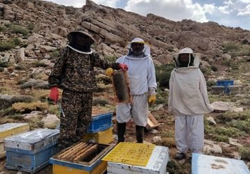 عسل‌گیری در ارتفاعات بزیمنی