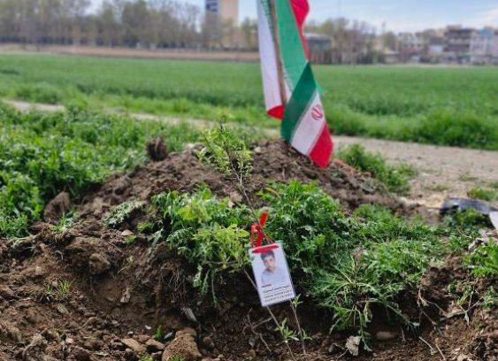 آیین کاشت نهال به نام شهدای دانش‌آموز میناب در کرج 
