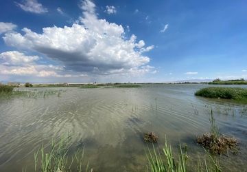 نقش تسهیلگری برنامه توسعه ملل متحد در تحقق حقابه تالاب‌های مرزی