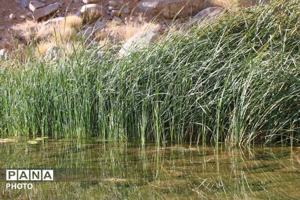 لاسرخ مهریز؛ مقصدی کوهستانی برای طبیعت‌گردان یزد