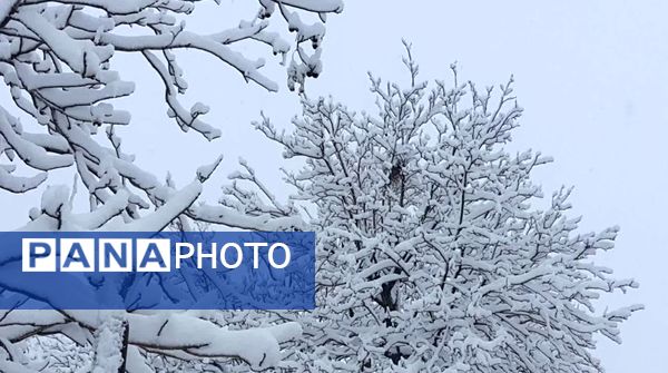 بارش برف، زنگ شادی را در مدرسه عشایری ابن مظاهر به صدا در آورد