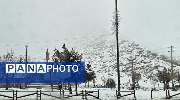برف بی‌پایان، شهرستان بن را در آغوش سپیدی برد