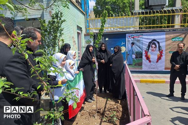 غرس نهال در مدارس ناحیه دو شهرری به یاد شهدای جنگ رمضان