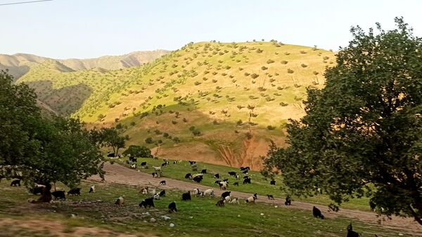 مسیر قارون تا قلعه مدرسه در واپسین لحظه‌های بهار