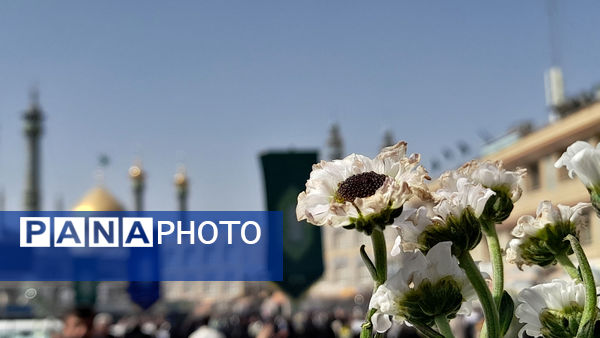 حرکت کاروان نمادین ورود حضرت معصومه(س) به قم