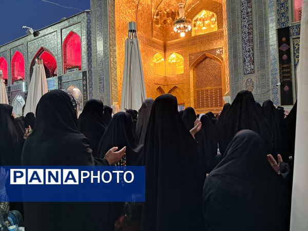 کبوتر حرم مشهد مقدس