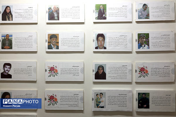 از دارالفنون تا کنون