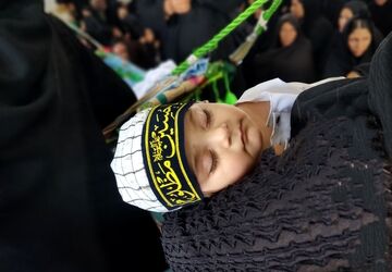 سفیران کوچک عاشورا در آیین شیرخوارگان حسینی