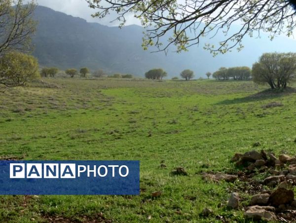 رومشکان گوهر پنهان طبیعت در نوروز ۱۴۰۴