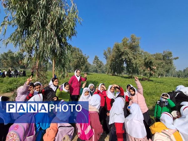 نرگسزارهای بهبهان