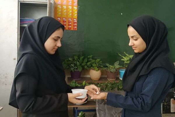 افتتاحیه طرح سفیران سلامت فیروزکوه همراه با اهدای کارت و توزیع مکمل