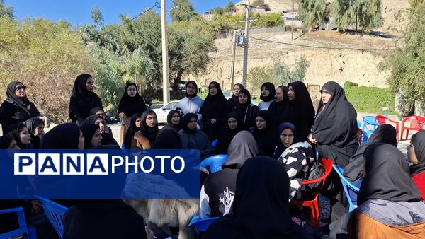 طرح اردوی تمشک در شهرستان دهدشت