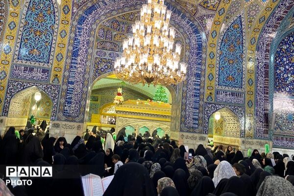سفر به دیار مهربانی