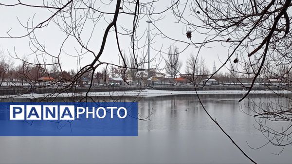 گرداب بن زیر چتر سپید برف