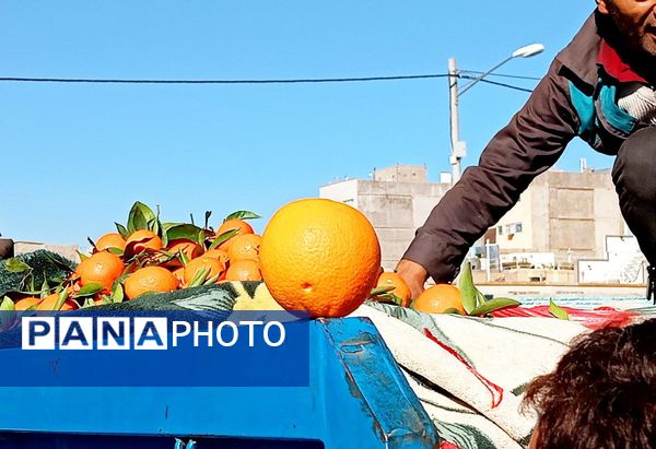 حال و هوای بازارهای کاشمر در آستانه شب یلدا