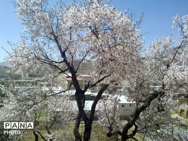 وانان، تابلوی بی‌بدیل خالق، شکوه رنگ‌ها و عظمت کوهستان