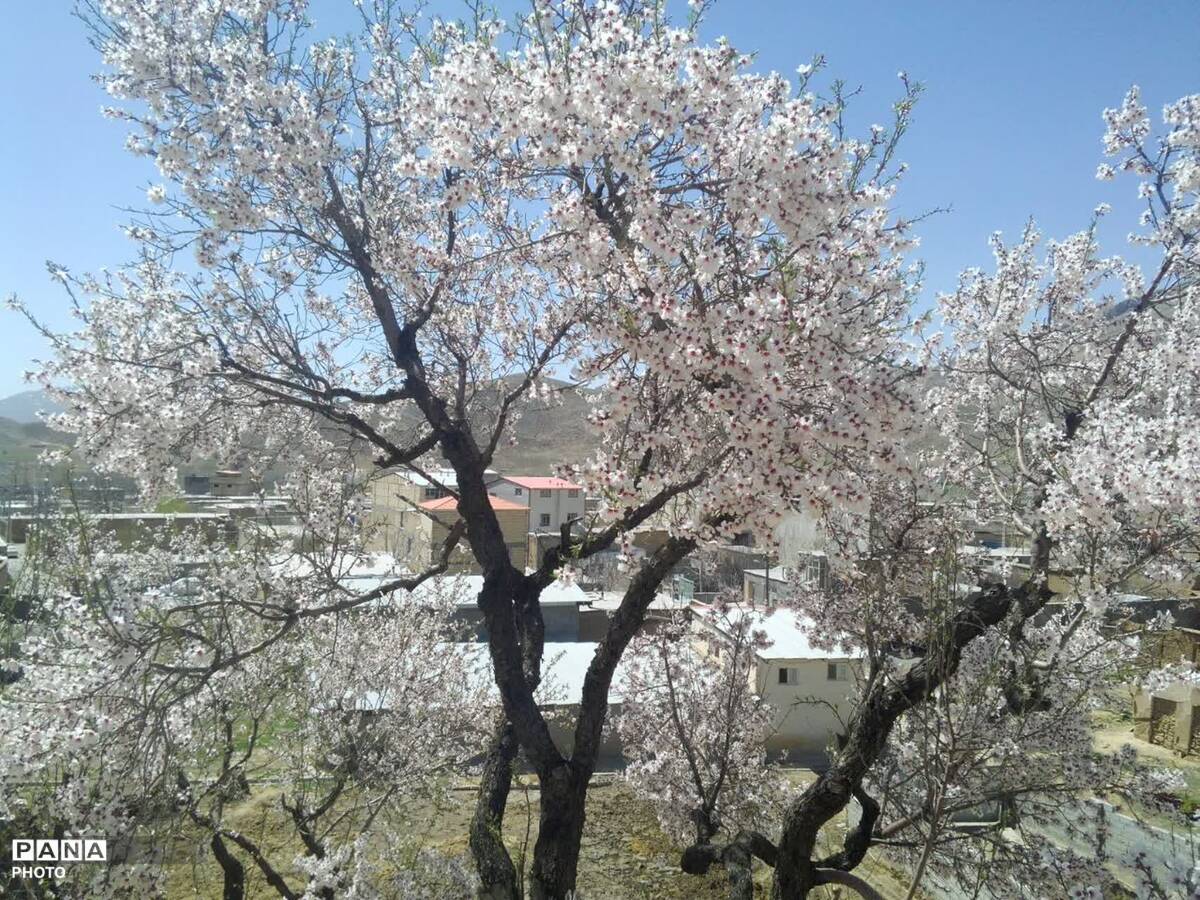 وانان، تابلوی بی‌بدیل خالق، شکوه رنگ‌ها و عظمت کوهستان