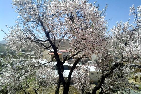 وانان، تابلوی بی‌بدیل خالق، شکوه رنگ‌ها و عظمت کوهستان