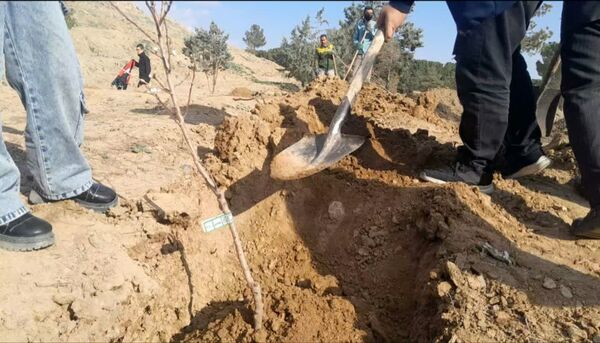جشن روز درختکاری در بامشار کاشمر 