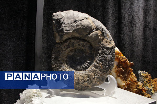 افتتاح نمایشگاه فناوری‌های معدنی در یزد