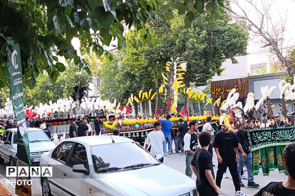 آیین باشکوه علم‌گردانی در غروب عاشورا 