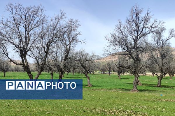 بهار، آغاز دوباره‌ی زندگی طبیعت 