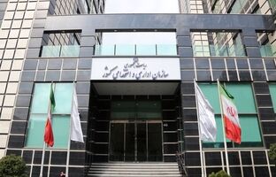 مهلت بدون تمدید برای تکمیل اطلاعات نیروهای شرکتی در سامانه «سایر» تا پایان سال است