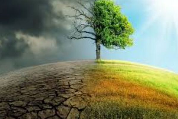 تدوین برنامه ملی درس محیط زیست، حرکت به سوی آموزش از مهد کودک تا پایان متوسطه 