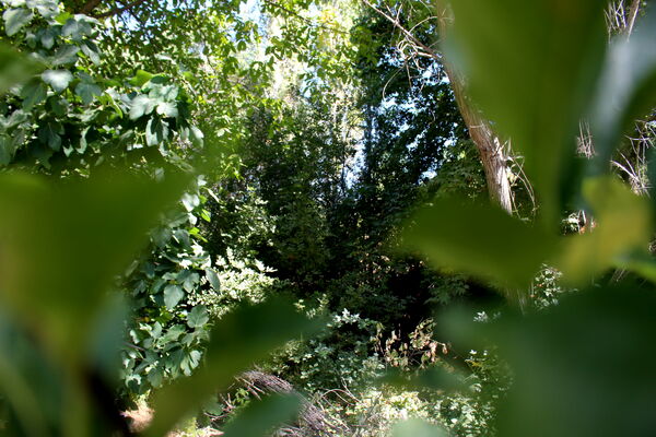 روستای کریک، ماسوله جنوب