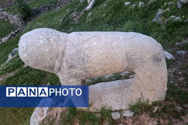 قبرستانی تاریخی و سرسبز به قدمت چند صد ساله در فارس