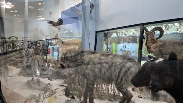 بازدید دانش آموز خبرنگاران پانا از موزه ی تنوع زیستی پارک پردیسان تهران