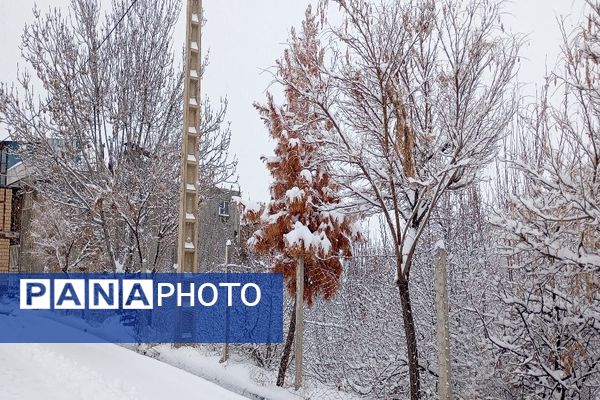 برف بارید و خدا پاکی خود را به شهر زیبایی بار هدیه کرد
