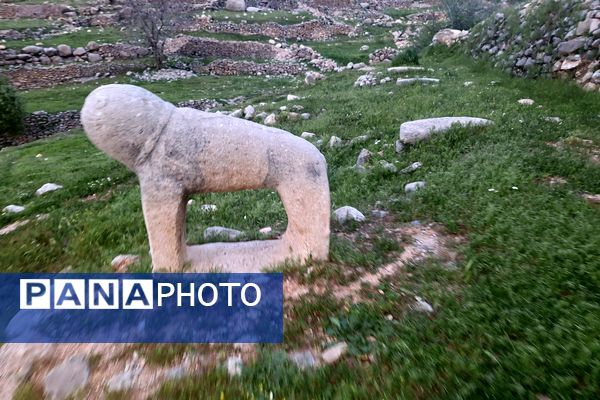 قبرستانی تاریخی و سرسبز به قدمت چند صد ساله در فارس