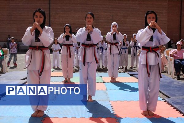 کلید خوردن طرح ملی «میدان پویا» در بهارستان‌دو