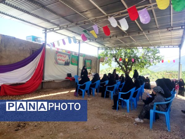 قاب های ماندگار از روستای شیاسی در استقبال از پرچم متبرک حرم امام حسین(ع)
