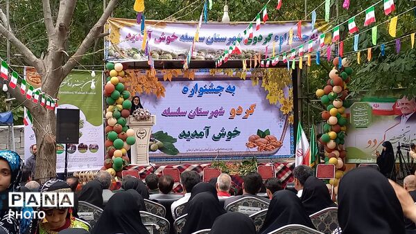 جشنواره‌ ای برای یک محصول؛ گردوی سلسله در مسیر فتح بازارها