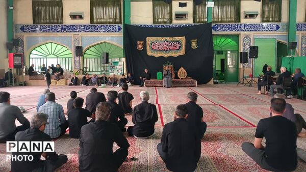 آیین نخل برداری  در محله دشتک سانیج به مناسبت شهادت امام رضا (ع)