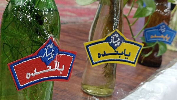 همایش تجلیل از مربیان و اعضای پیشتاز در محمودآباد 