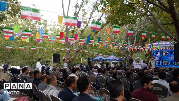 جشنواره‌ ای برای یک محصول؛ گردوی سلسله در مسیر فتح بازارها
