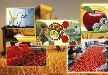 درخواست وزیر اقتصاد از وزارت صمت جهت صدور پروانه کسب برای متقاضیان کمتر از ۱۸ سال