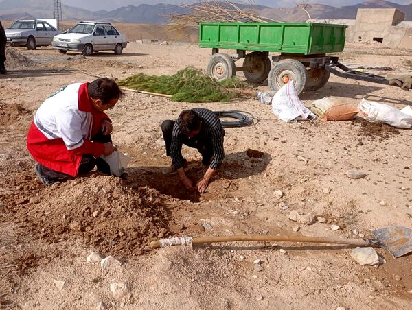 کاشت نهال در آرامستان روستای گزکوه