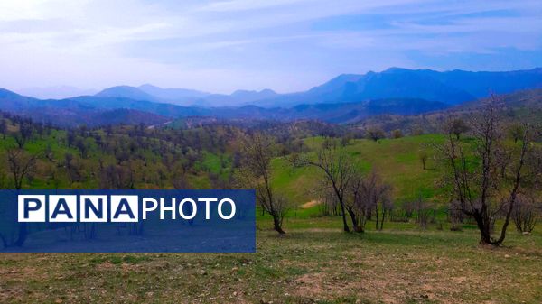 طبیعت بهاری، فرصتی برای سرزندگی روح 