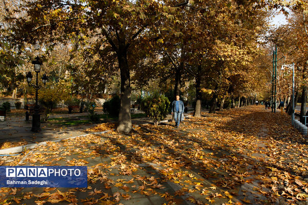 تهران پاییزی