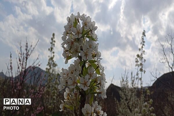 حال هوای شهر بار نیشابور بعد از بارش باران زیبا
