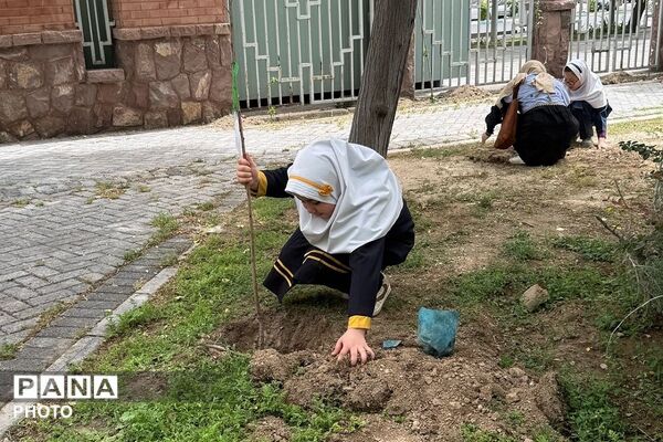 کاشت نهال در هفته معلم به نیابت از شهدای فرهنگی و دانش‌آموز در فرهنگسرای ولاء ناحیه دو شهرری 
