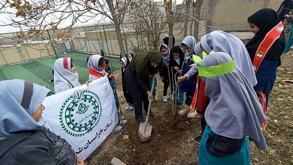 درختکاری در دبستان شهید ذکاوتی مایوان