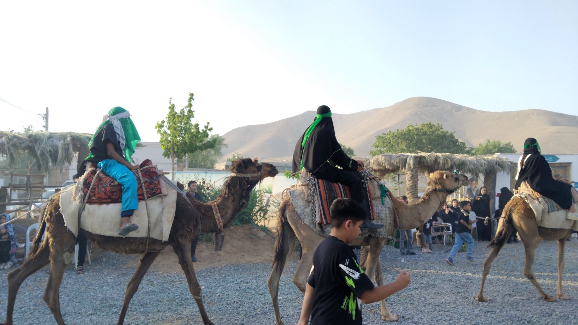 علم‌ گردانی آیین‌ هر ساله‌ شهر وردنجان